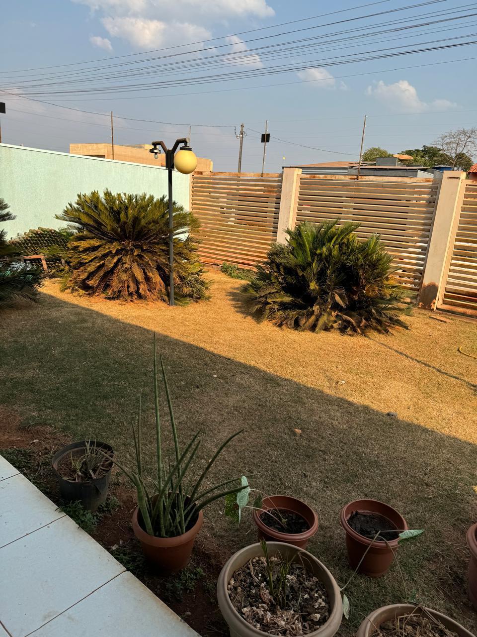 WhatsApp Image 2026-02-17 at 11.18.28