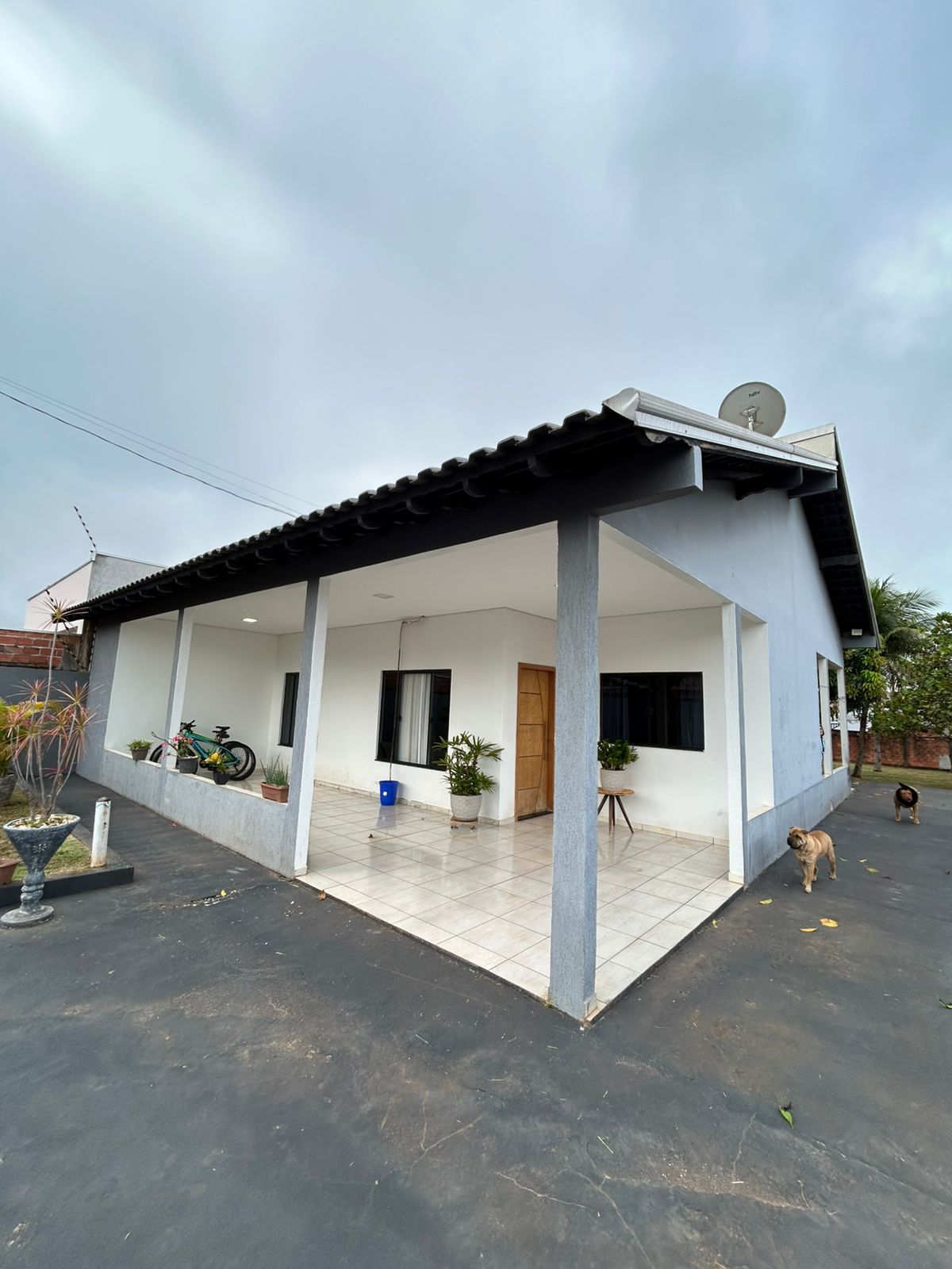 WhatsApp Image 2026-02-17 at 11.18.51 (3)