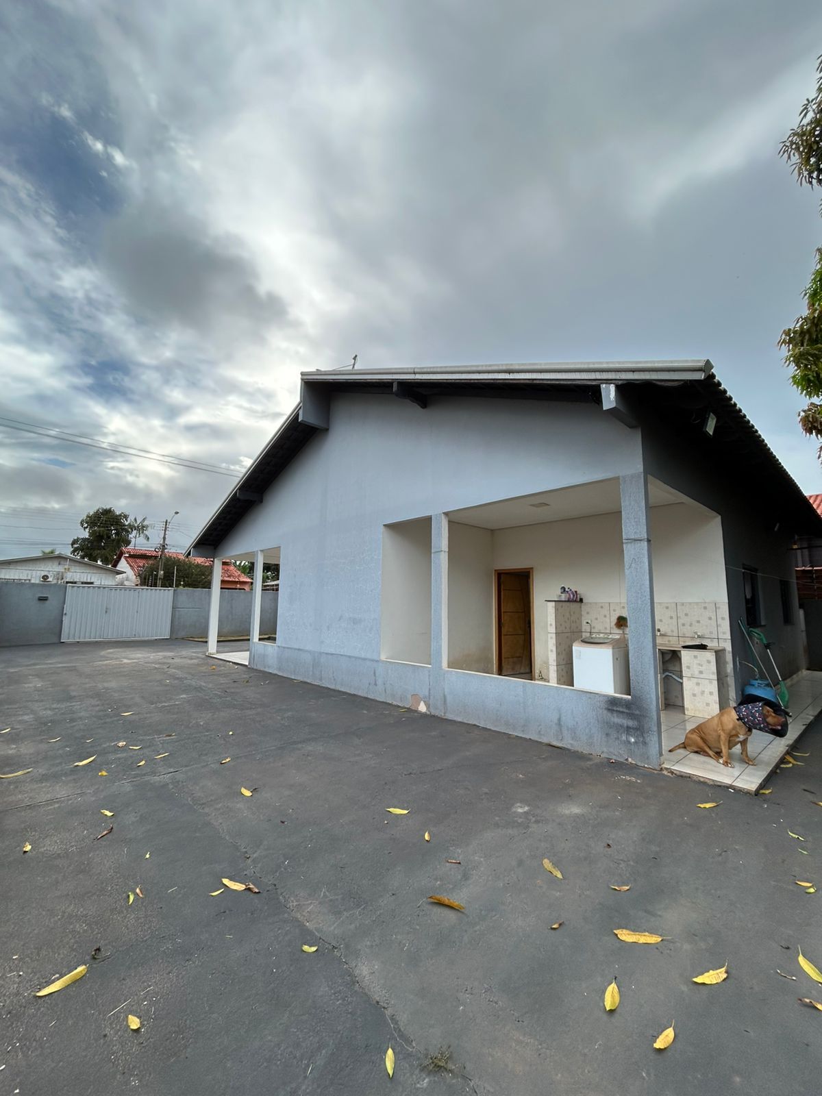 WhatsApp Image 2026-02-17 at 11.18.53 (1)