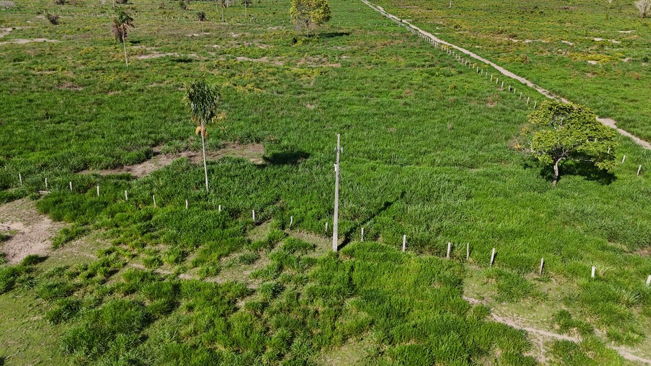 WhatsApp Image 2026-02-17 at 15.40.00