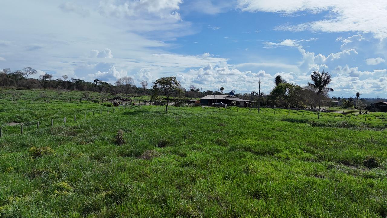 WhatsApp Image 2026-02-17 at 15.40.01 (2)