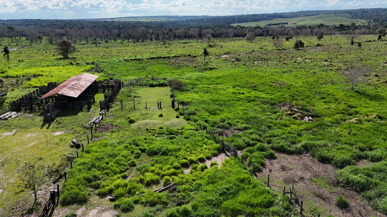 WhatsApp Image 2026-02-17 at 15.40.01 (3)