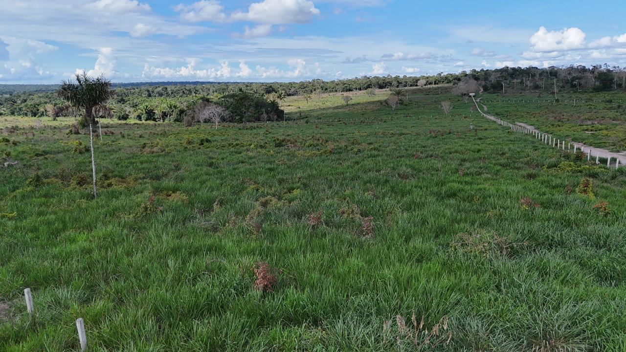 WhatsApp Image 2026-02-17 at 15.40.01