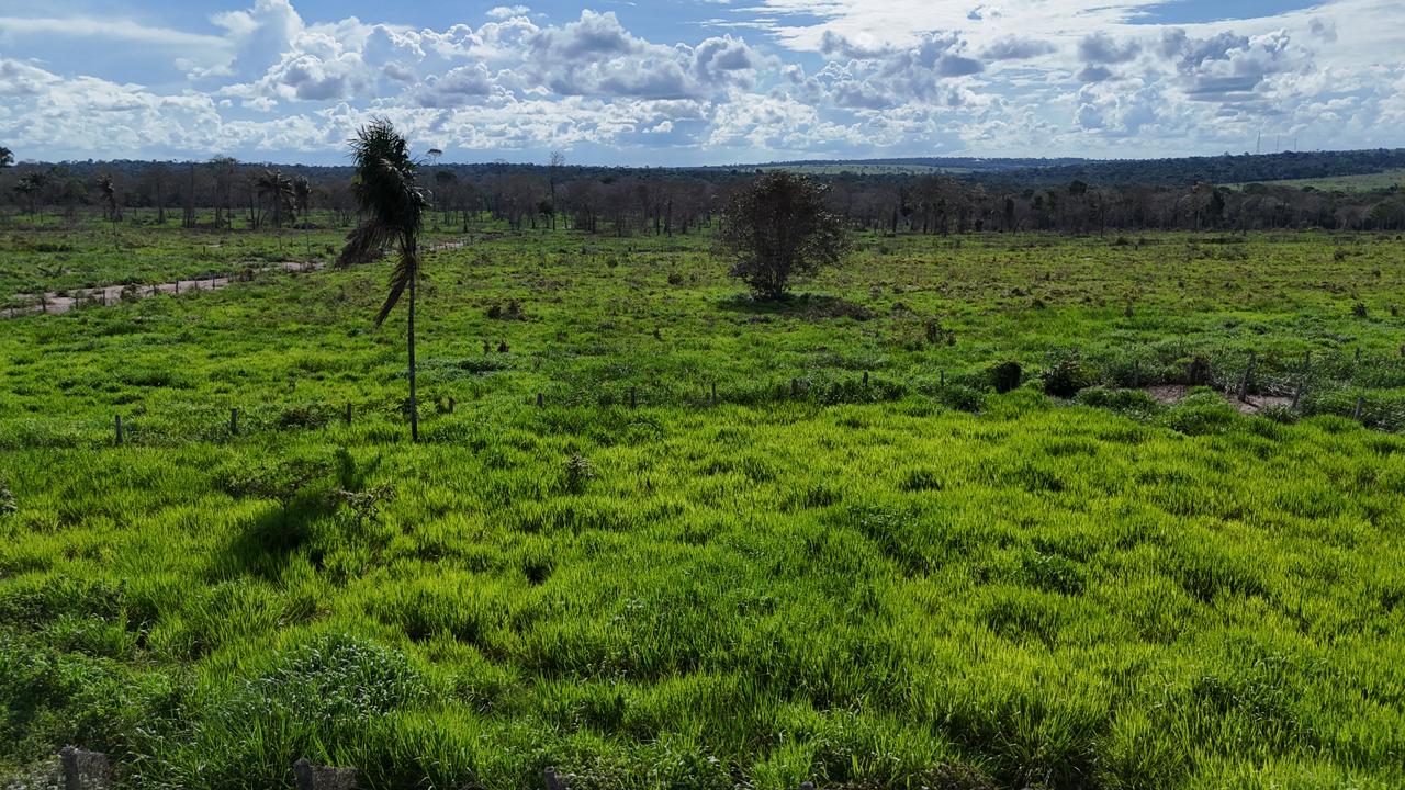 WhatsApp Image 2026-02-17 at 15.40.02 (1)