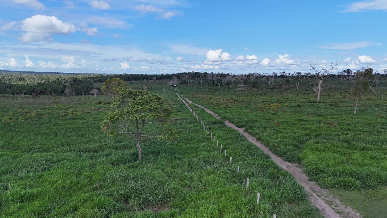 WhatsApp Image 2026-02-17 at 15.40.02 (3)