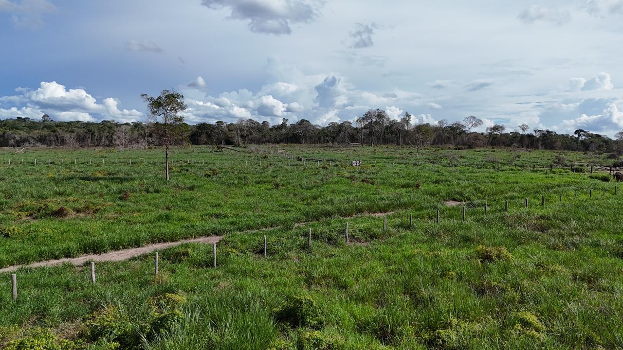 WhatsApp Image 2026-02-17 at 15.40.02 (4)