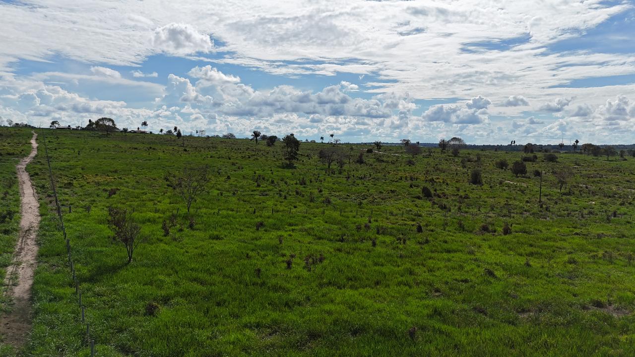 WhatsApp Image 2026-02-17 at 15.40.02