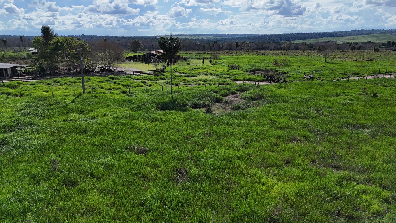 WhatsApp Image 2026-02-17 at 15.40.03 (2)