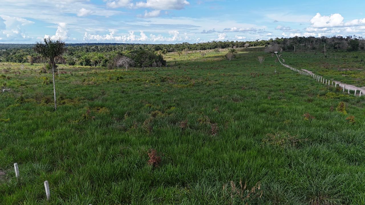 WhatsApp Image 2026-02-17 at 15.40.03 (3)