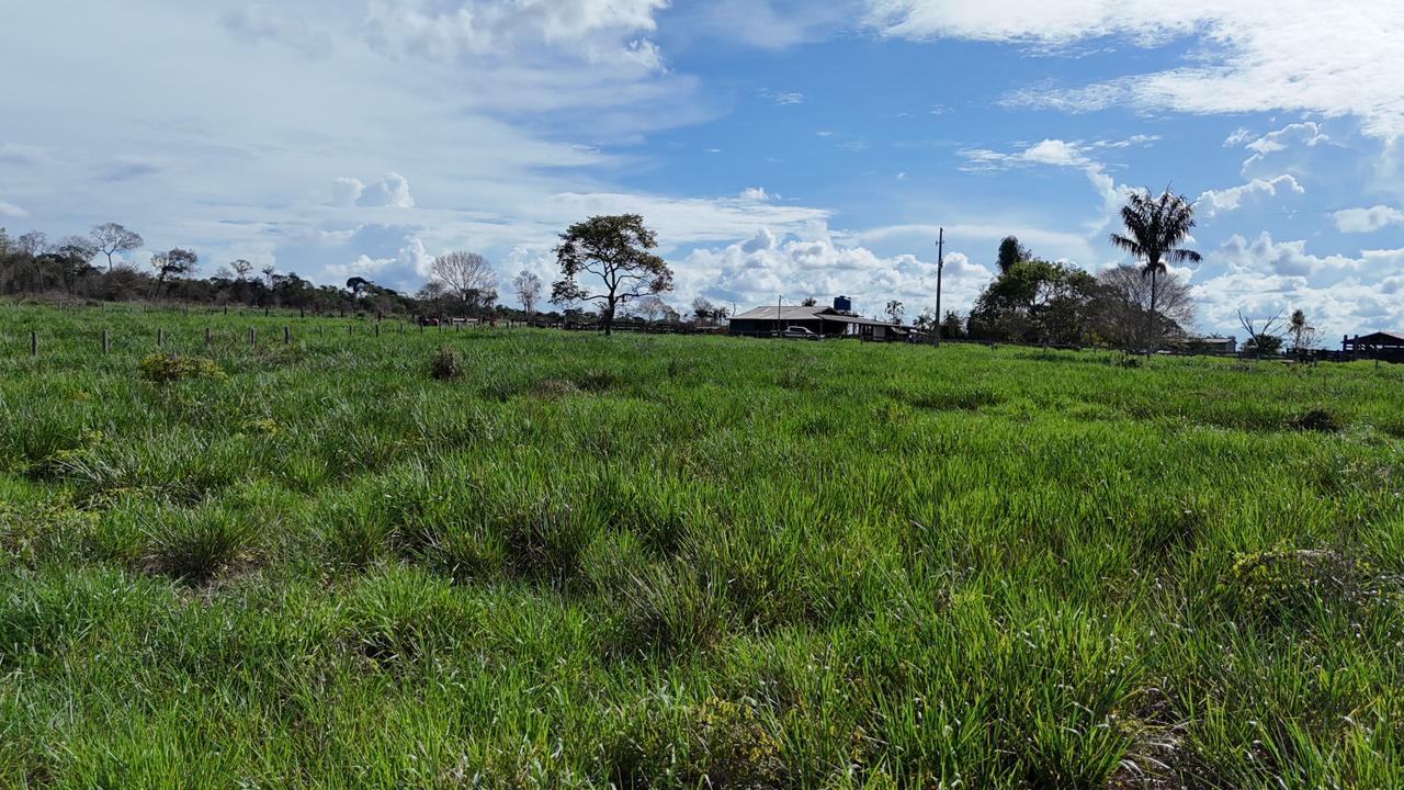 WhatsApp Image 2026-02-17 at 15.40.03 (4)