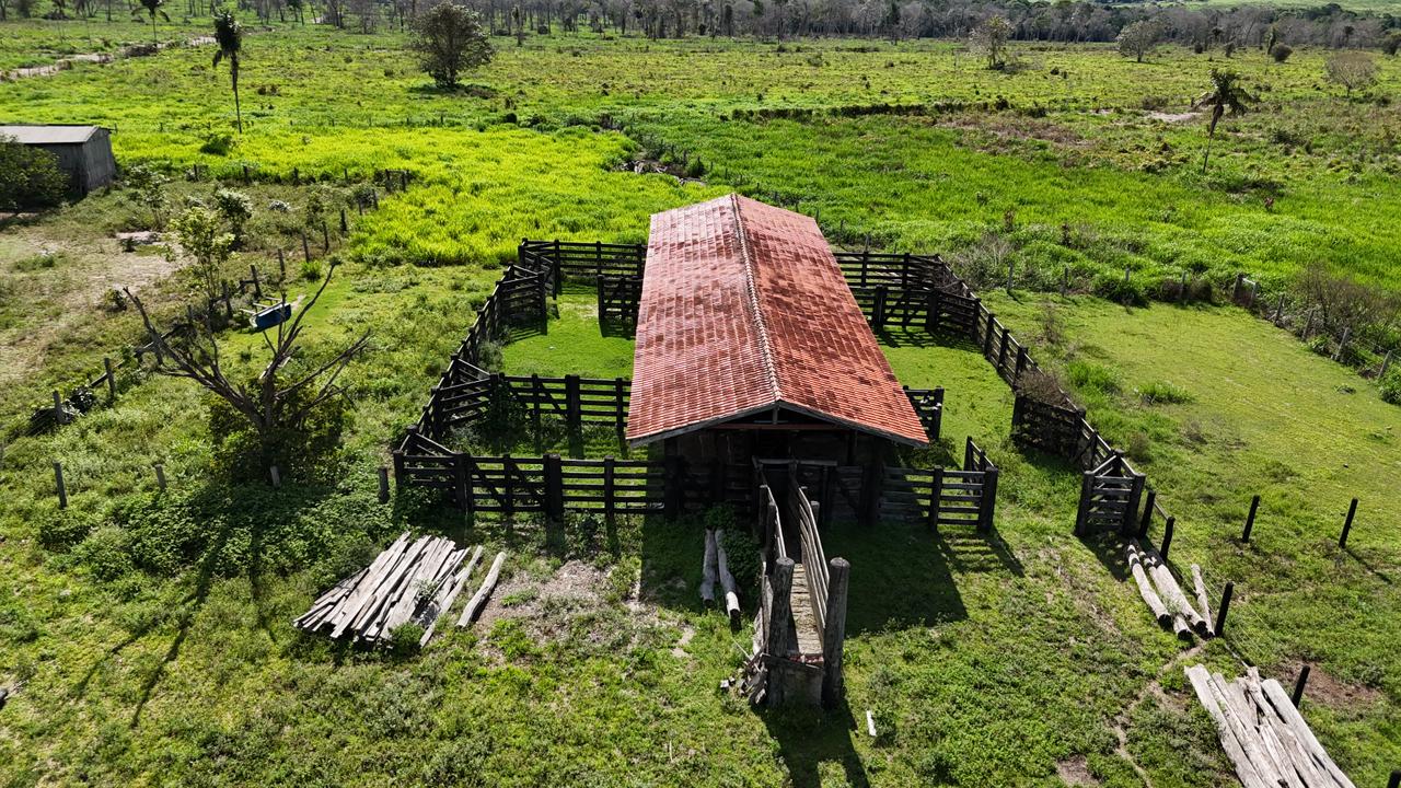 WhatsApp Image 2026-02-17 at 15.40.03