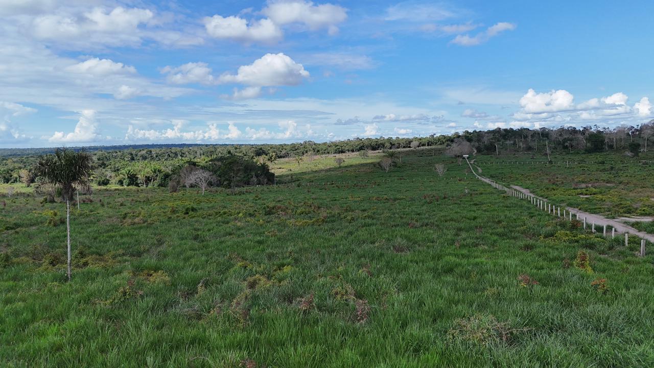 WhatsApp Image 2026-02-17 at 15.40.04 (1)