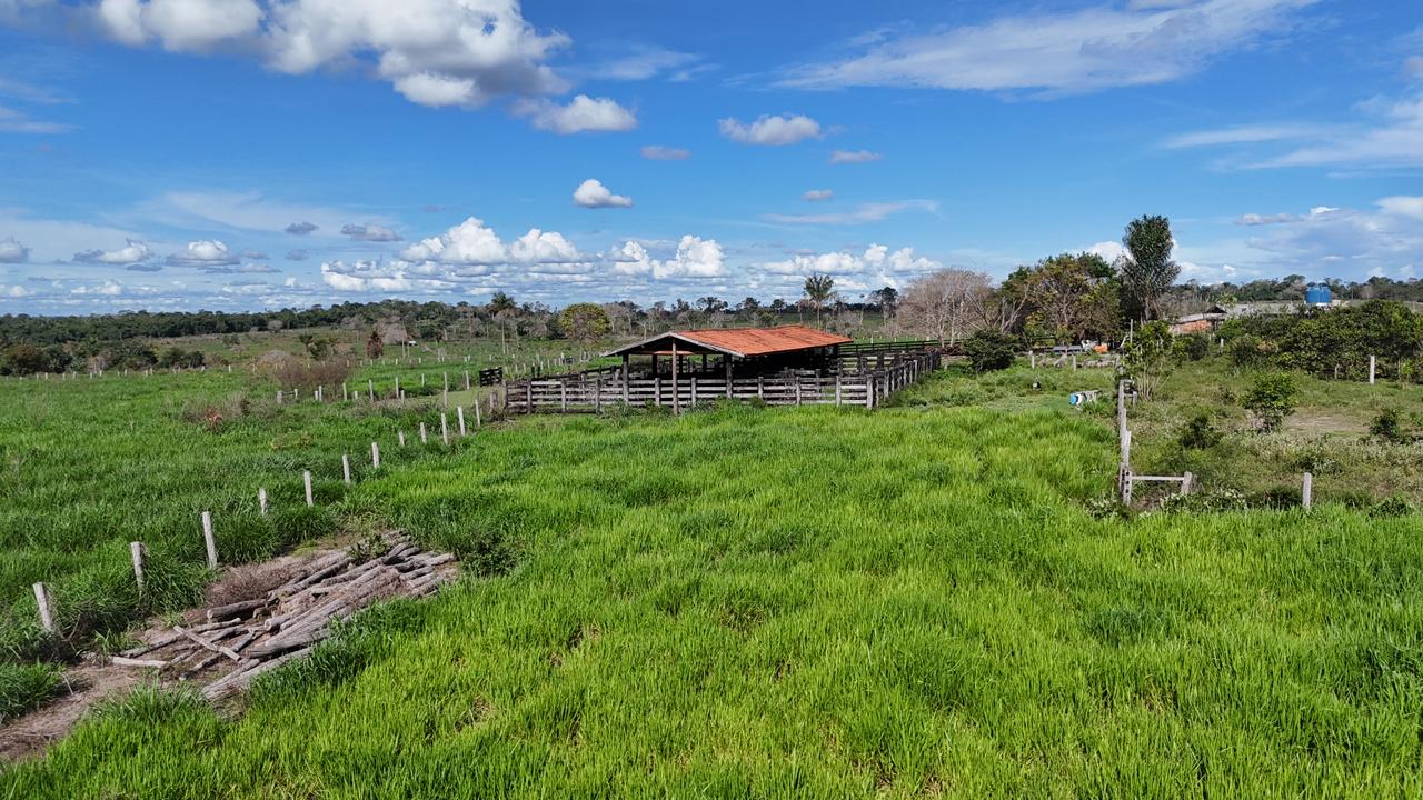 WhatsApp Image 2026-02-17 at 15.40.04 (2)