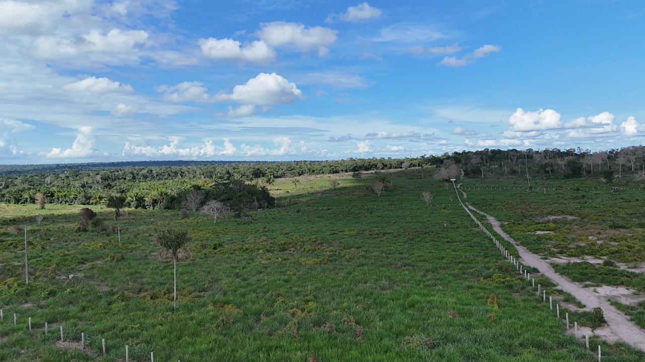 WhatsApp Image 2026-02-17 at 15.40.04