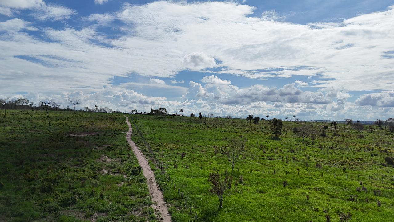 WhatsApp Image 2026-02-17 at 15.40.05 (1)