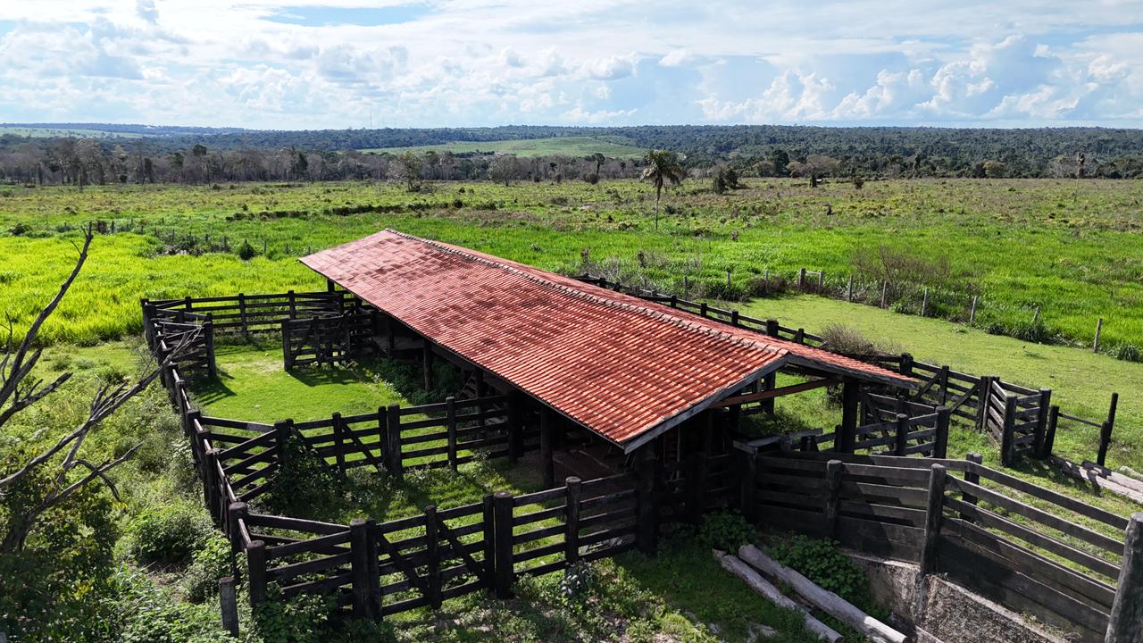 WhatsApp Image 2026-02-17 at 15.40.05 (2)