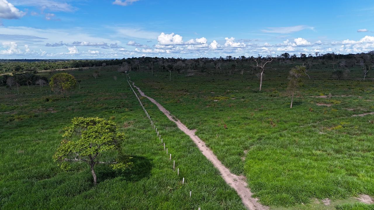 WhatsApp Image 2026-02-17 at 15.40.05 (3)