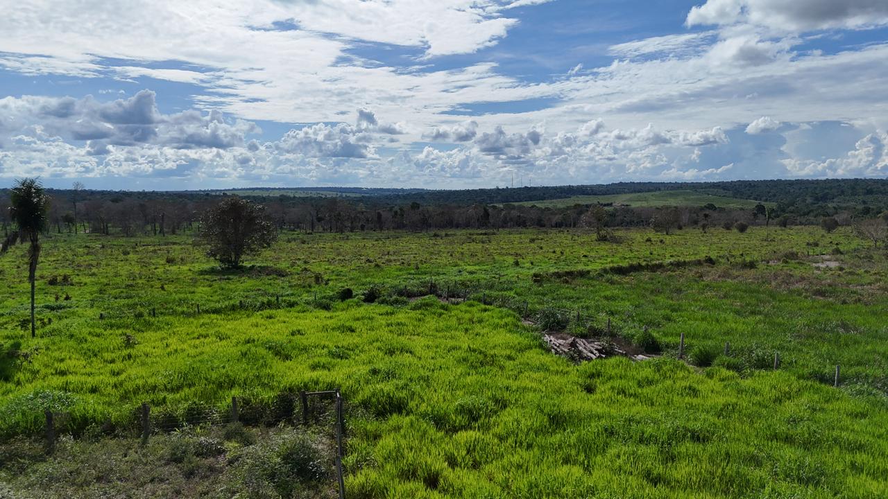 WhatsApp Image 2026-02-17 at 15.40.05 (4)