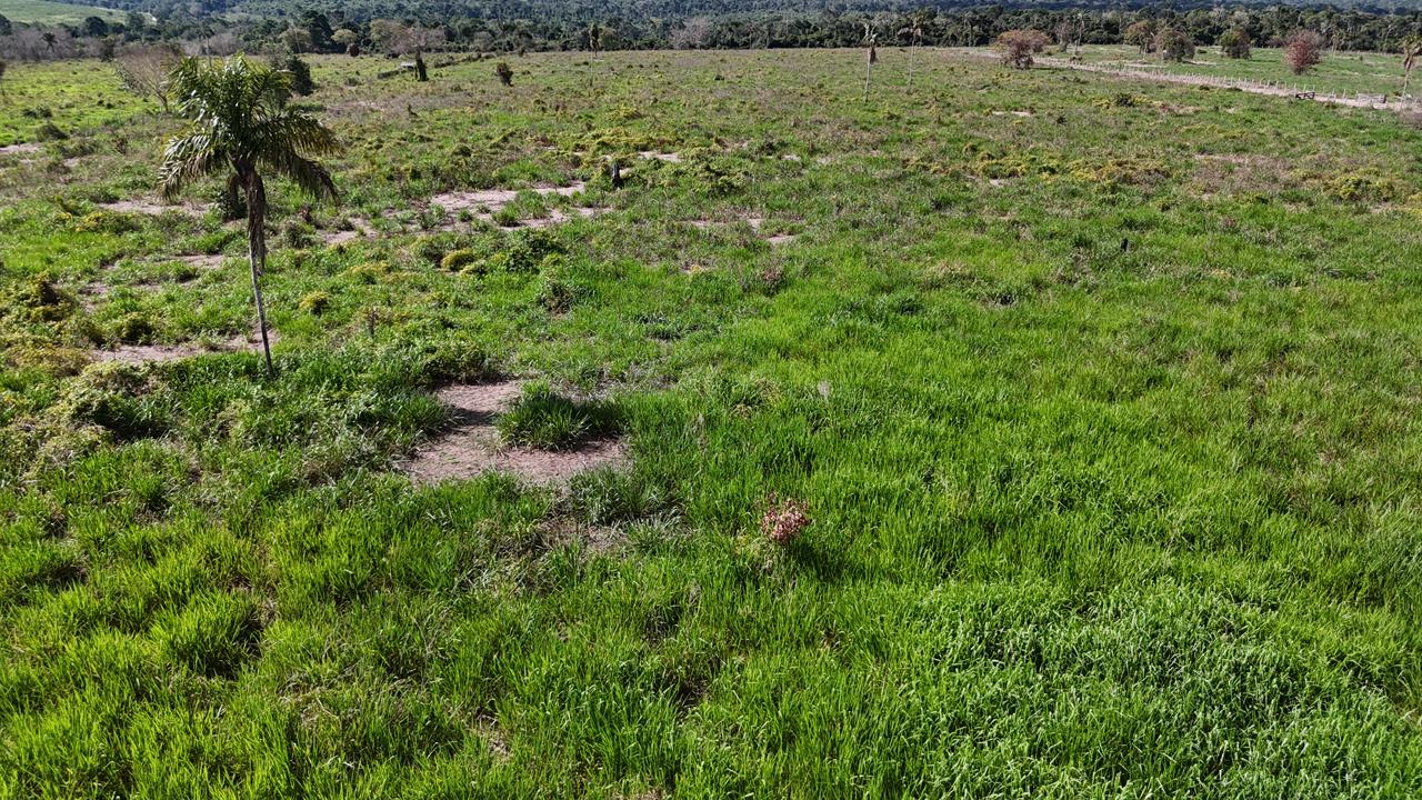 WhatsApp Image 2026-02-17 at 15.40.05