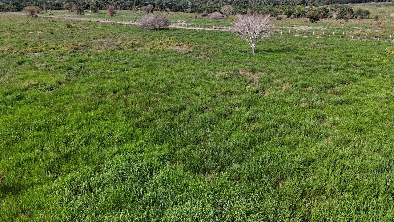 WhatsApp Image 2026-02-17 at 15.40.06