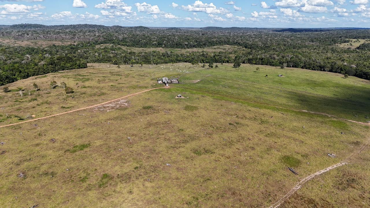 WhatsApp Image 2026-02-17 at 15.52.38 (1)