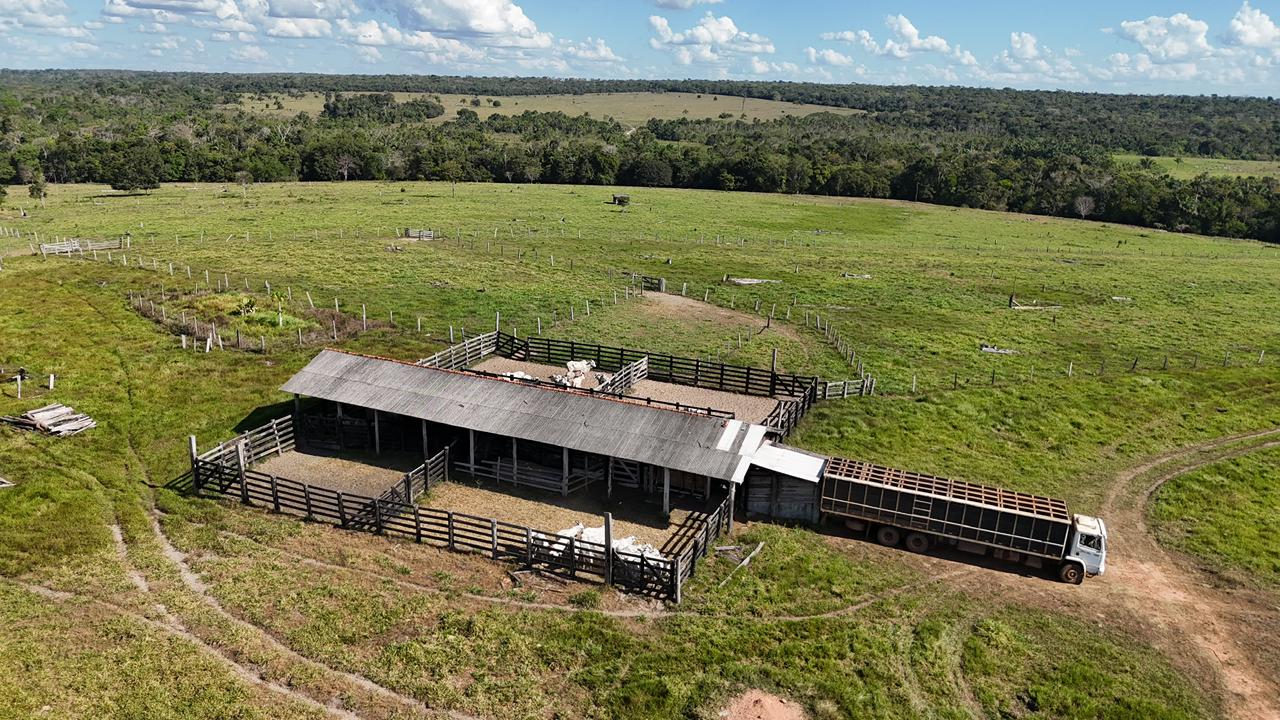 WhatsApp Image 2026-02-17 at 15.52.38