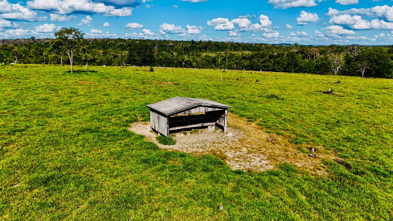 WhatsApp Image 2026-02-17 at 15.52.39 (1)