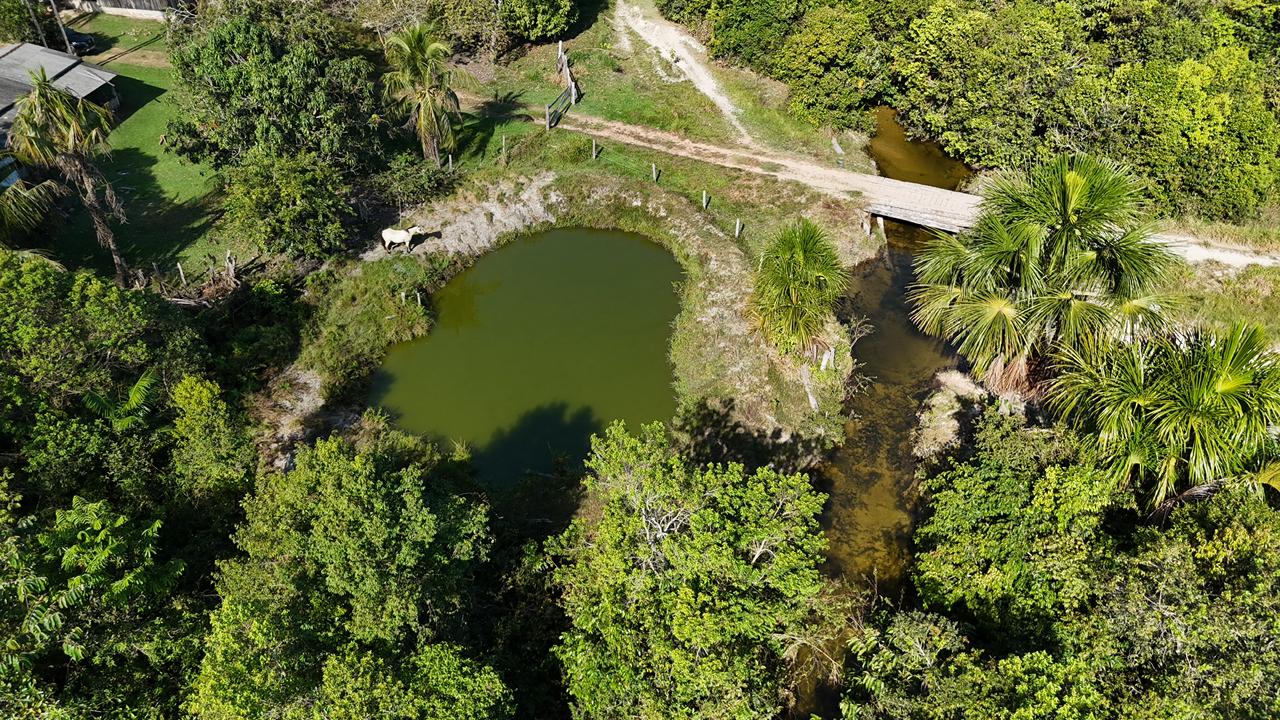 WhatsApp Image 2026-02-17 at 15.52.39 (2)