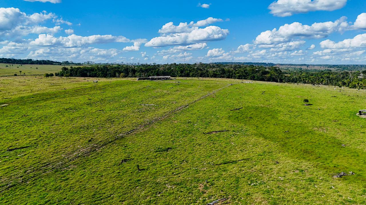 WhatsApp Image 2026-02-17 at 15.52.39 (3)