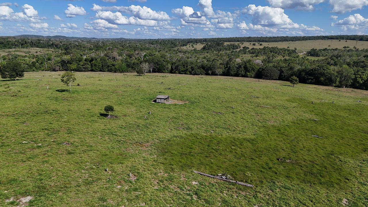 WhatsApp Image 2026-02-17 at 15.52.39