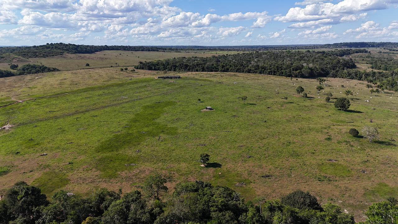 WhatsApp Image 2026-02-17 at 15.52.40 (1)