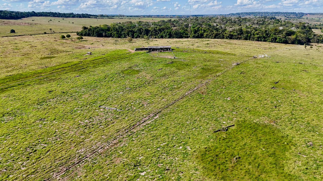 WhatsApp Image 2026-02-17 at 15.52.40 (3)