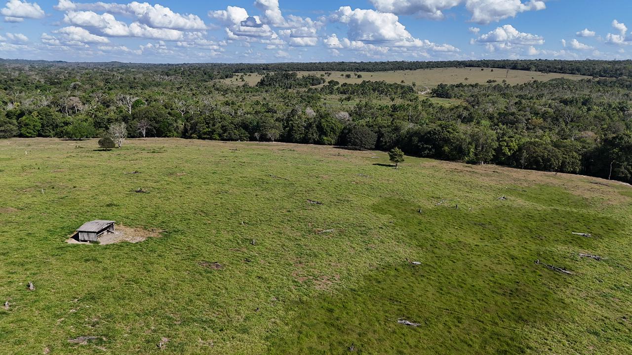 WhatsApp Image 2026-02-17 at 15.52.40 (4)