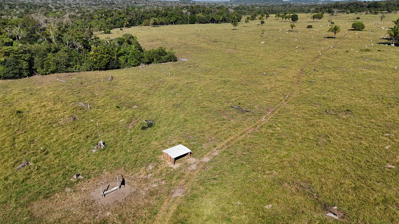 WhatsApp Image 2026-02-17 at 15.52.40