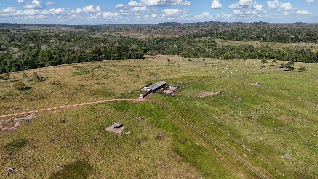 WhatsApp Image 2026-02-17 at 15.52.41 (1)