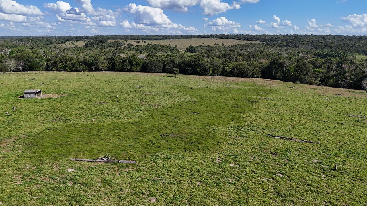 WhatsApp Image 2026-02-17 at 15.52.41 (2)