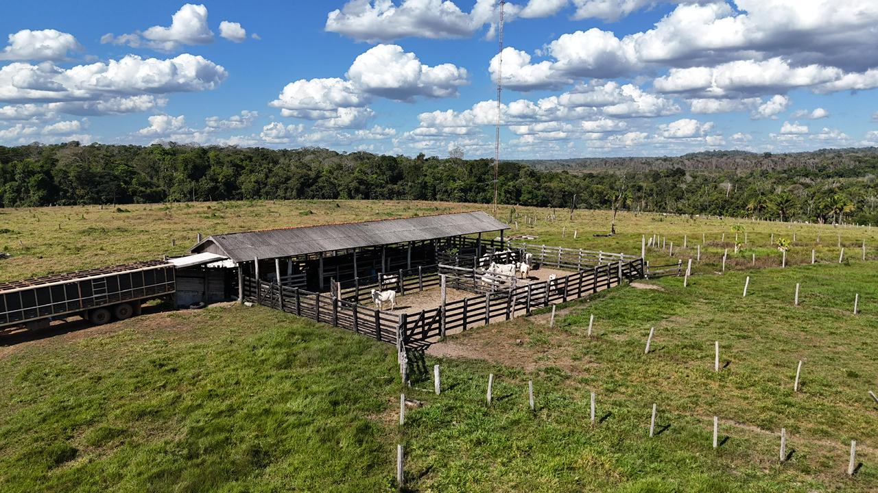 WhatsApp Image 2026-02-17 at 15.52.41 (3)