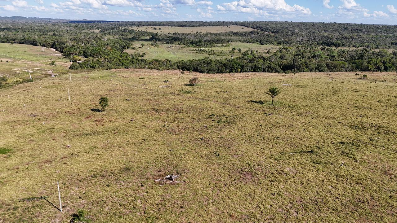 WhatsApp Image 2026-02-17 at 15.52.41