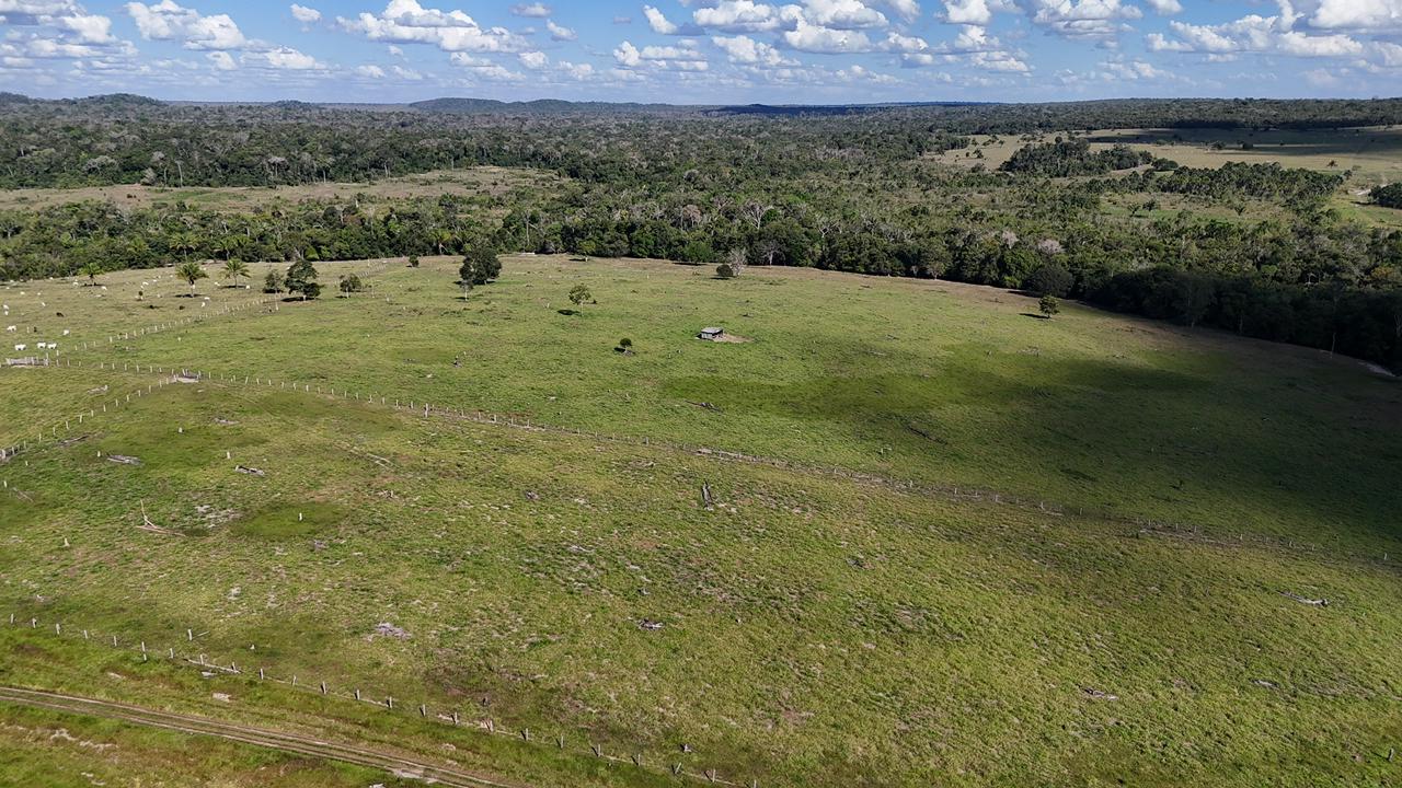 WhatsApp Image 2026-02-17 at 15.52.42 (2)