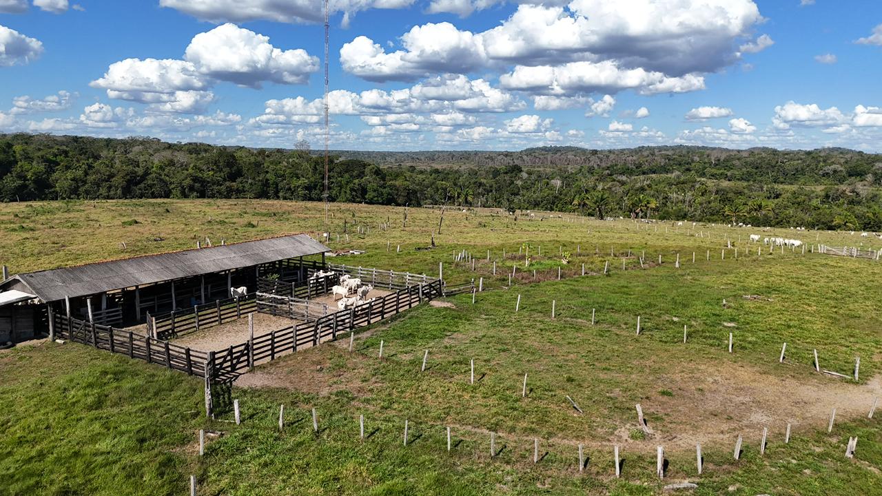 WhatsApp Image 2026-02-17 at 15.52.42 (4)