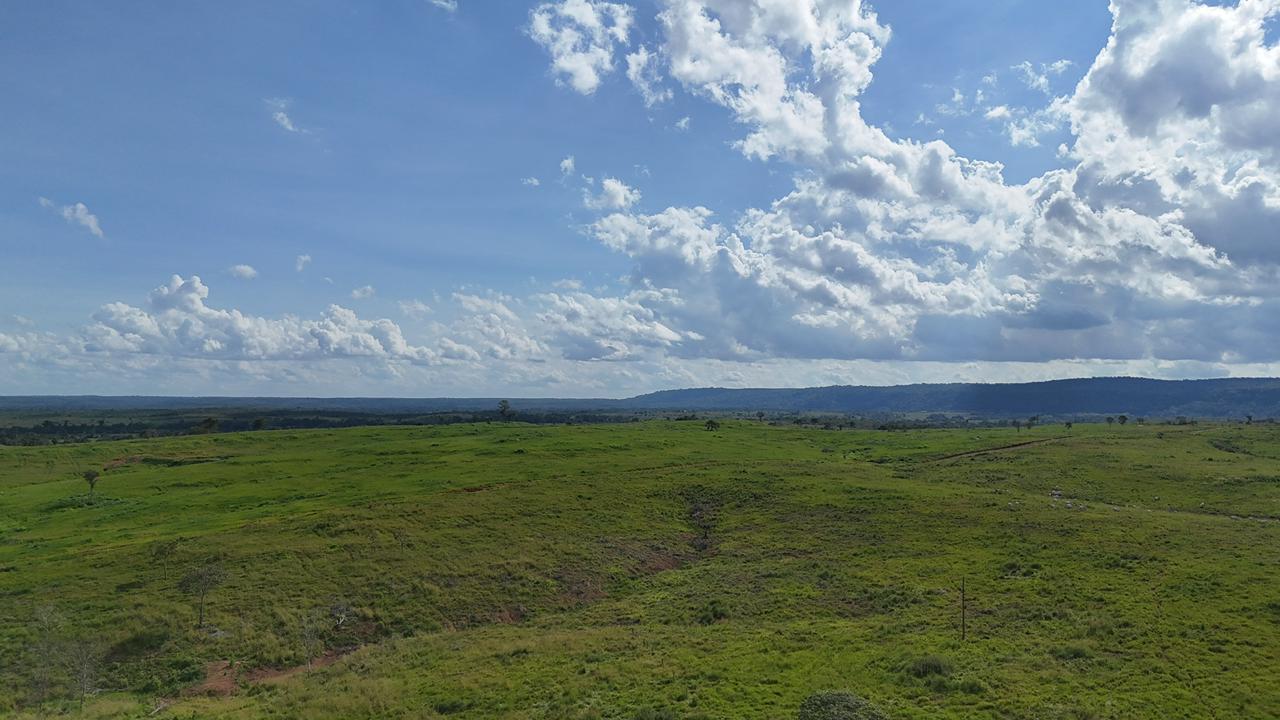 WhatsApp Image 2026-02-17 at 15.52.42