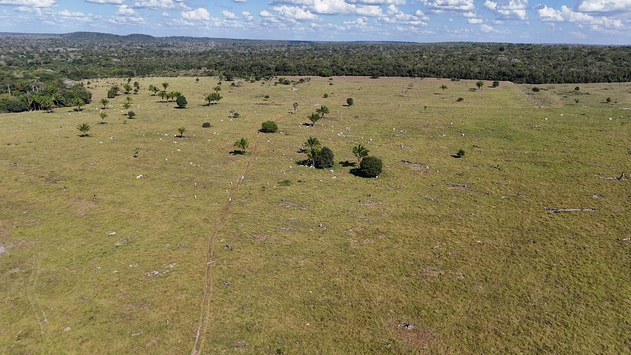 WhatsApp Image 2026-02-17 at 15.52.43 (1)