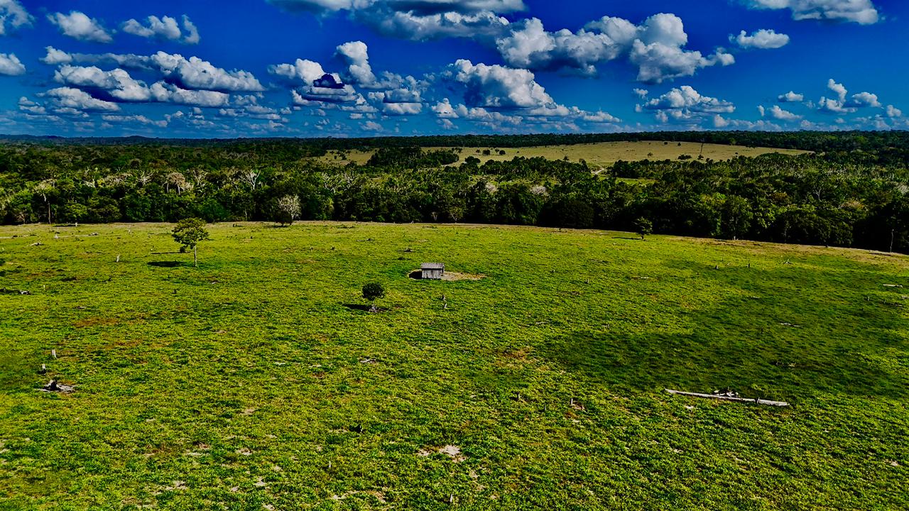 WhatsApp Image 2026-02-17 at 15.52.43 (2)