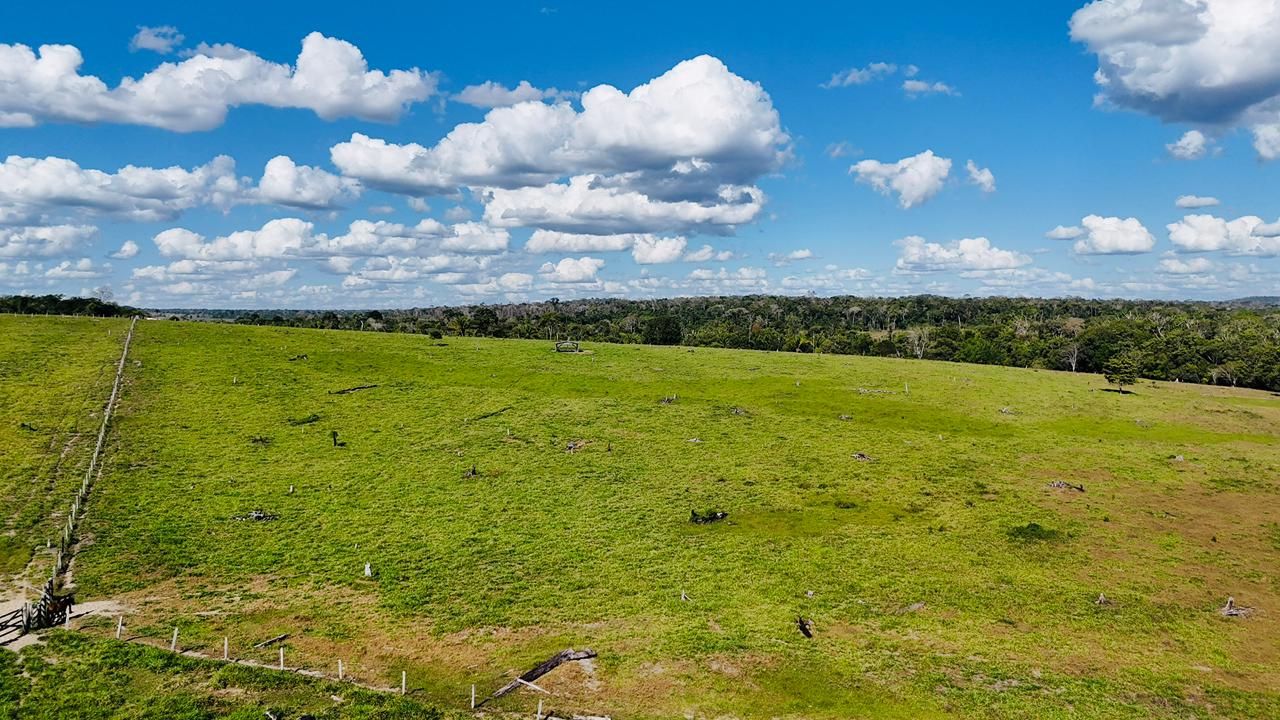 WhatsApp Image 2026-02-17 at 15.52.43 (3)