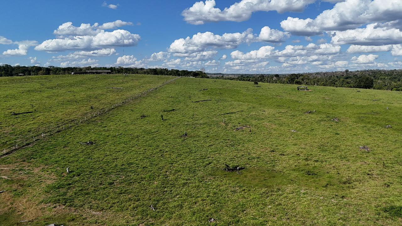 WhatsApp Image 2026-02-17 at 15.52.43 (4)