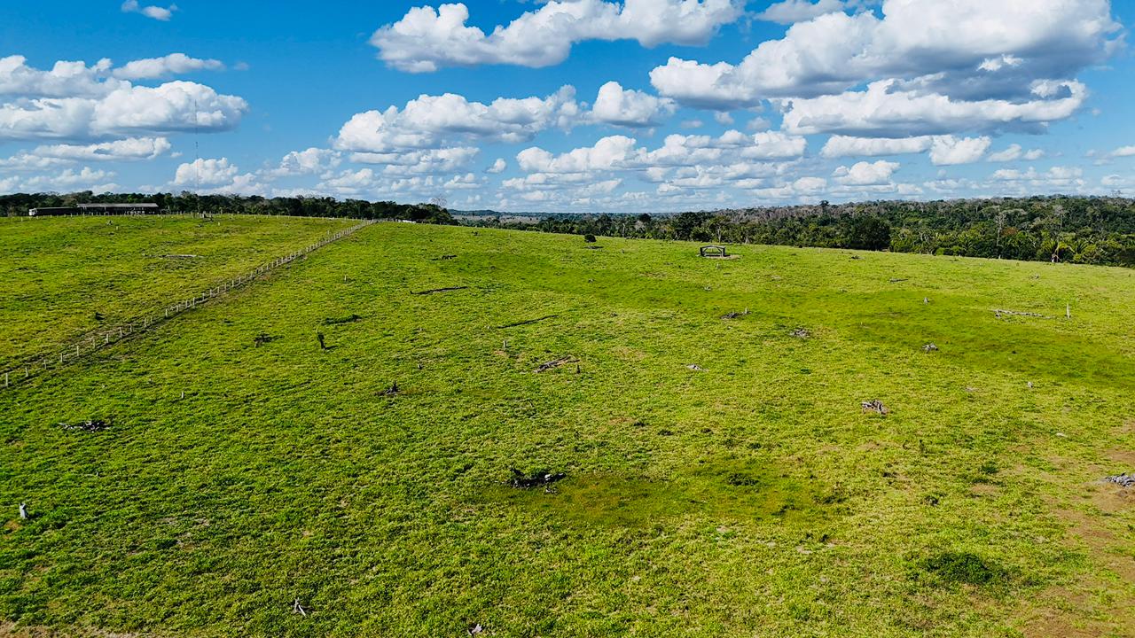 WhatsApp Image 2026-02-17 at 15.52.43