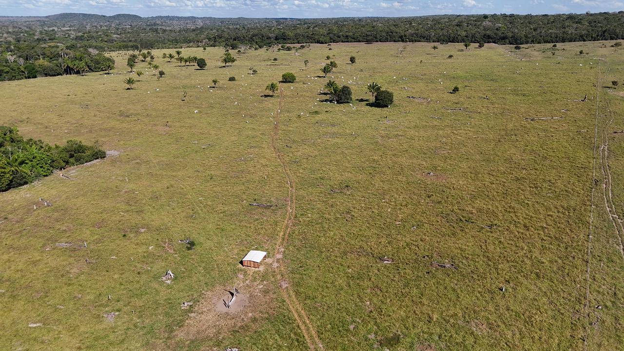 WhatsApp Image 2026-02-17 at 15.52.44 (1)