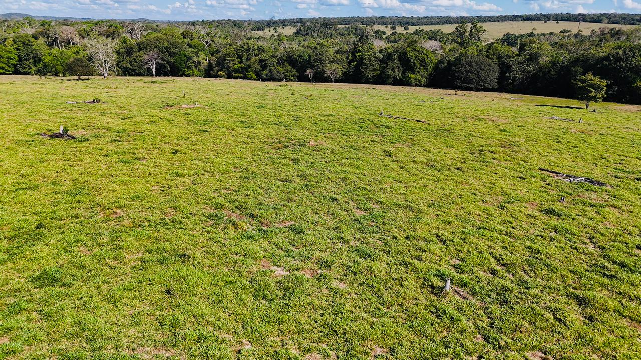 WhatsApp Image 2026-02-17 at 15.52.44