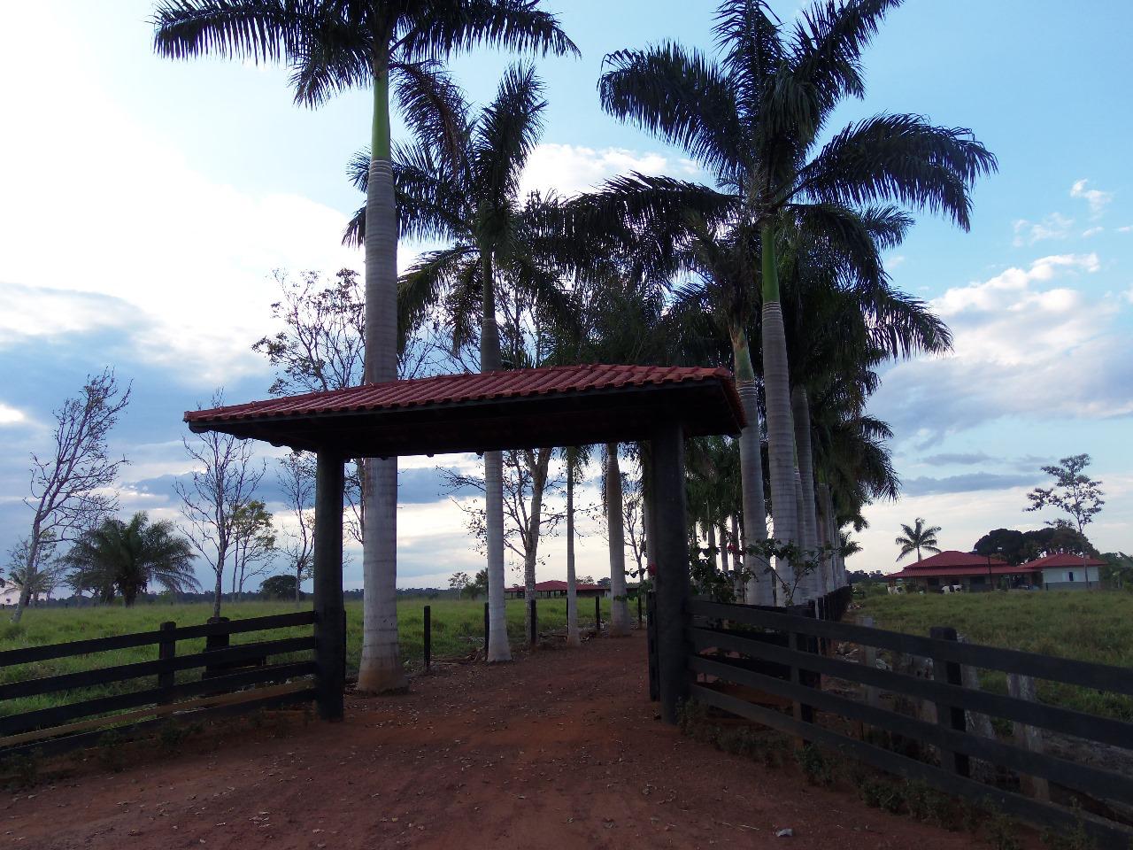 WhatsApp Image 2026-02-17 at 15.56.45 (2)