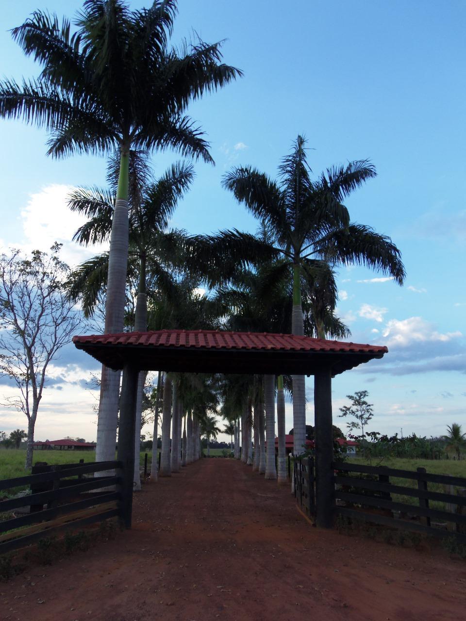 WhatsApp Image 2026-02-17 at 15.56.45 (3)